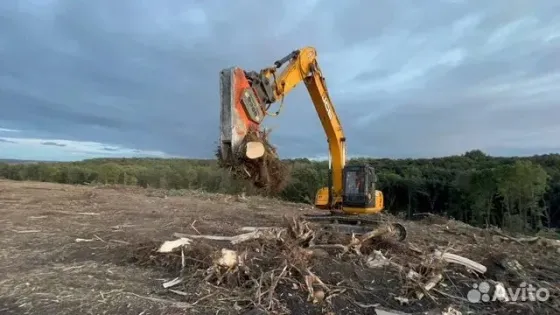 Расчистка территорий от деревьев и пней от 1 Га Воронеж