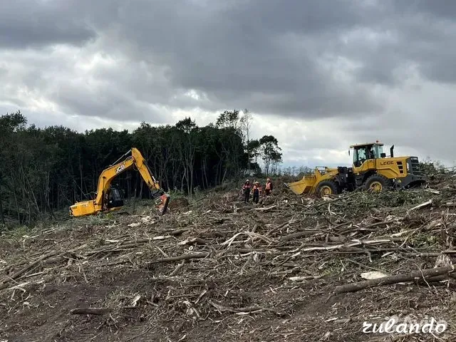 Расчистка территорий от деревьев и пней от 1 Га Воронеж - изображение 7
