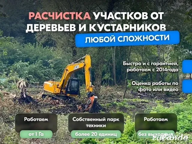 Расчистка территорий от деревьев и пней от 1 Га Воронеж - изображение 1