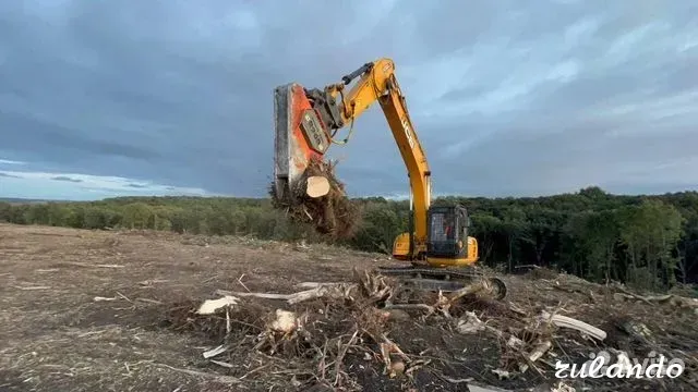 Расчистка территорий от деревьев и пней от 1 Га Воронеж - изображение 4
