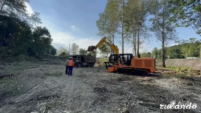 Расчистка территорий от деревьев и пней от 1 Га Воронеж - изображение 8