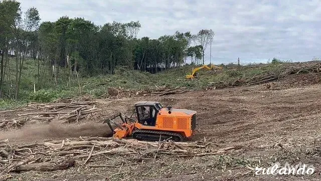 Расчистка территорий от деревьев и пней от 1 Га Воронеж - изображение 5