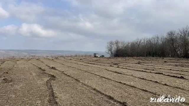 Расчистка территорий от деревьев и пней от 1 Га Воронеж - изображение 6