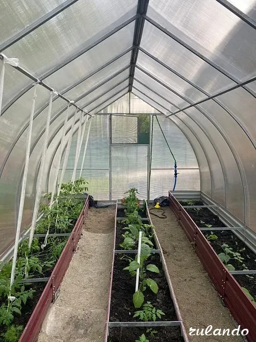 Дом в посёлке "Дачный" в лесу Неман - изображение 8